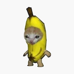 wonkercat's Avatar'