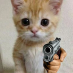 Semi-Auto_Cat's Avatar'