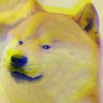 RollRoy's Avatar'