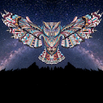 SGF-Nightowl's Avatar'