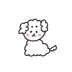 PfD_kou's Avatar'