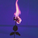 Solar.Envy's Avatar'