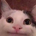 MFMFMF1's Avatar'