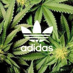 Otama_Es's Avatar'