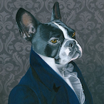 LuciooMax13's Avatar'