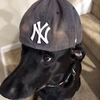 gthugsalot's Avatar'