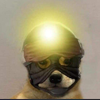 Siggi_XD_7.Flp's Avatar'