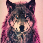 Martieloo's Avatar'