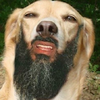MuteAg's Avatar'