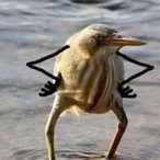 TheWrath_'s Avatar'