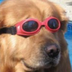 Tang0o0's Avatar'