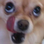 woongs423's Avatar'