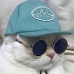 SlevinElGato.'s Avatar'
