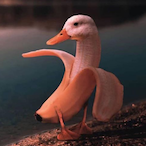 AmigoKacsa's Avatar'