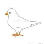 Dove.'s Avatar'
