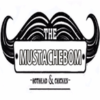 Mu5tach3Bom's Avatar'