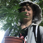 WhiteIceDice's Avatar'
