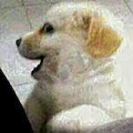 gera090996's Avatar'