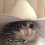 WhatAlexGuy's Avatar'