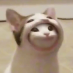 Shameless_Spray's Avatar