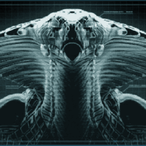 Viper_Sh0t's Avatar'