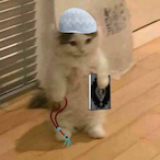 NullVeil's Avatar'
