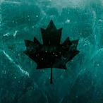 sc27cs's Avatar'