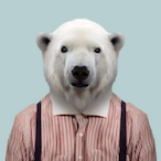 Shaquiqui_III's Avatar'