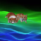 LMCXMCCAFFDOG's Avatar'