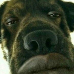 O tuffkid67's Avatar'