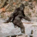 Bigfoot.Myth's Avatar'