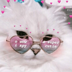BozoVae's Avatar'