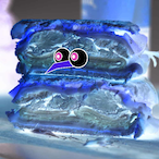 SandwichAtNight's Avatar'
