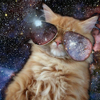 ZanglorOfCats's Avatar'