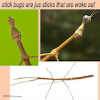 man with knif3's Avatar'