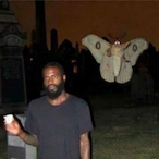 MoonlitMoth's Avatar'