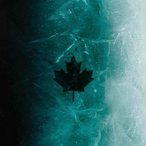 havoc123455's Avatar'