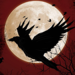 K122114R122112's Avatar'