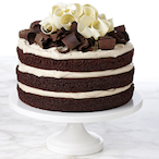 NoCAKEforu's Avatar'