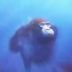 SchnugglyWuggly's Avatar'