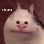 Vinoblique's Avatar'