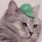 mnkymnkymnky's Avatar'