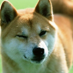 Nightmare.man's Avatar'