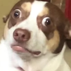 Mr_Bub5's Avatar'