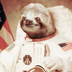 CaptainOKR_'s Avatar'