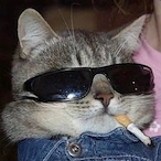 chonki.monki's Avatar'