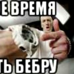 SVOSVOSVOSVO's Avatar'