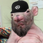 Valkkyy's Avatar'