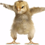 Bigmich2009's Avatar'