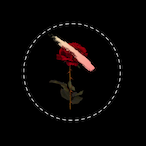 TrippinOnRoses's Avatar'